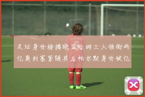 足坛身价榜揭晓亚哈姆三人领衔两亿奥利塞紧随其后帕尔默身价破亿